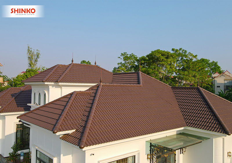 ngoi-phang-va-ngoi-song-shinko-2