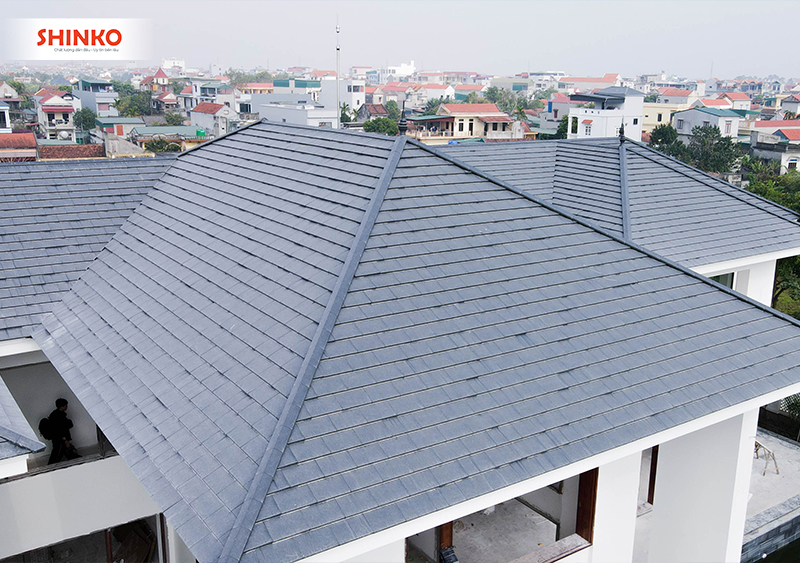 ngoi-phang-va-ngoi-song-shinko-3