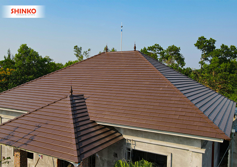 ngoi-phang-va-ngoi-song-shinko-4