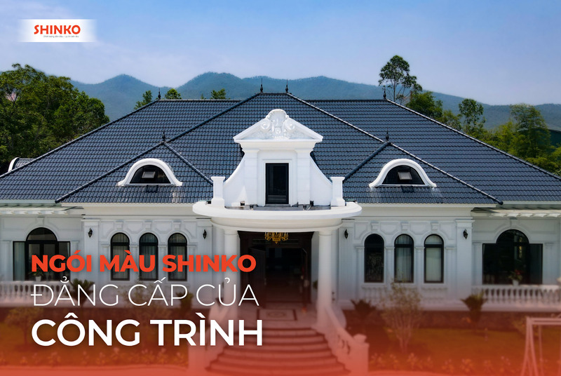 nha-cung-cap-ngoi-mau-mien-bac-1